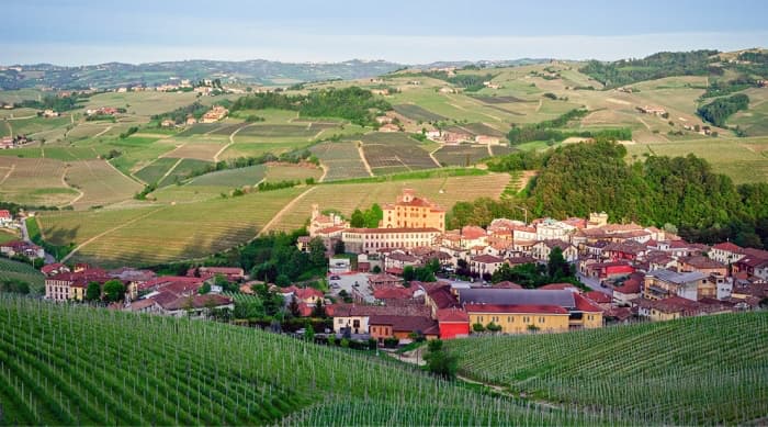 All About Barolo Wine