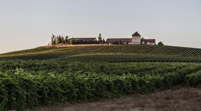 A Brief History of Pinot Gris