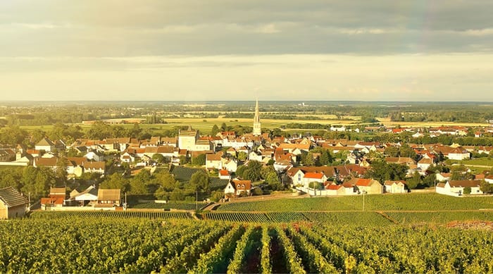 All About the Meursault AOC