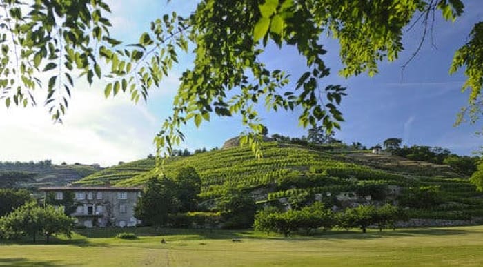 Climate and Terroir of Condrieu