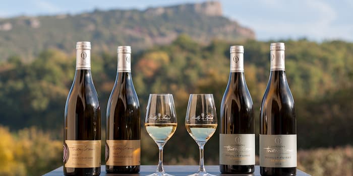 Pouilly Fuisse Wine Tasting