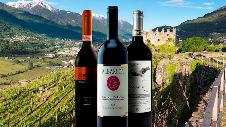 Lombardy Wine