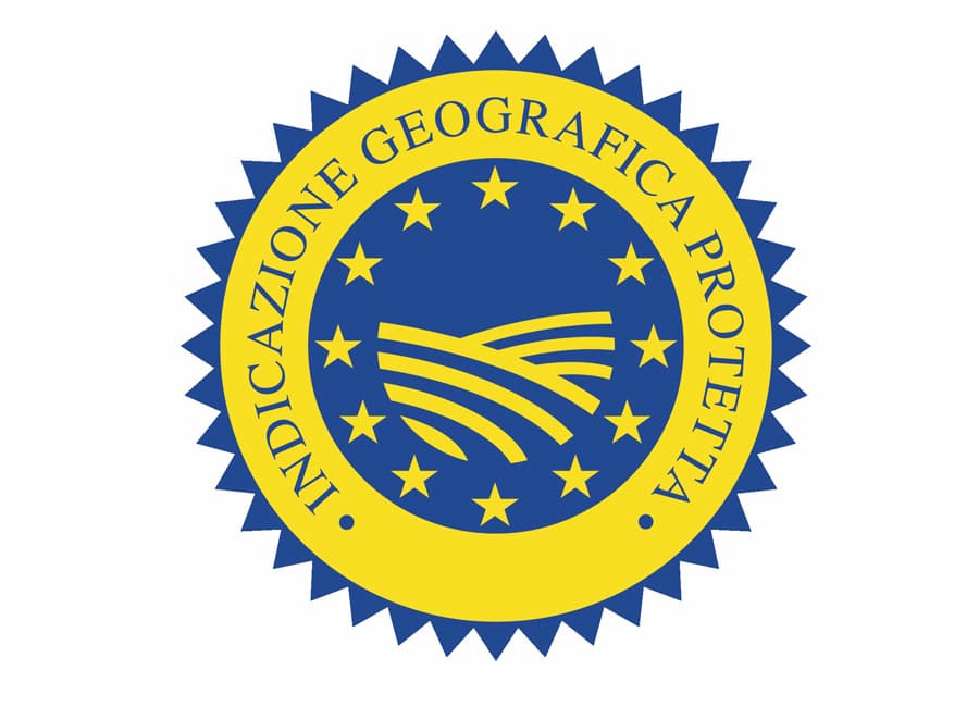 Vini IGP Logo