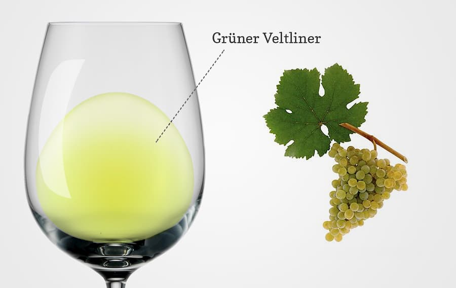 Gruner Veltliner (Wine Styles, Best Wines, Pricing 2021) - Draft
