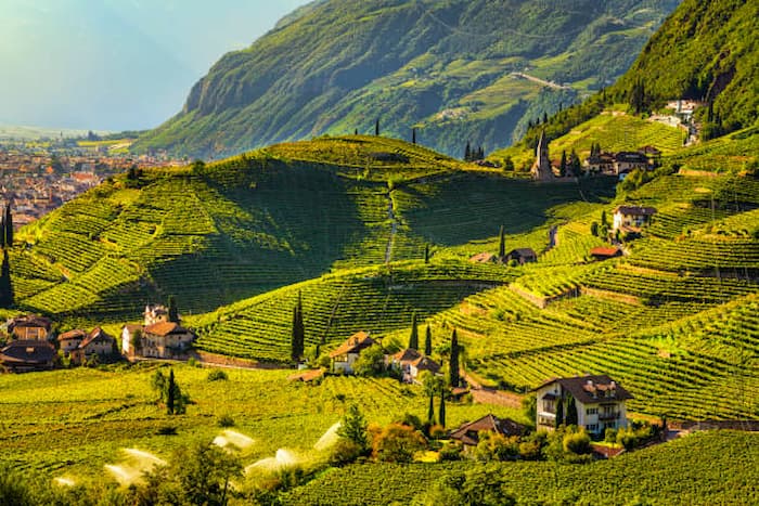 Sardinia Wine