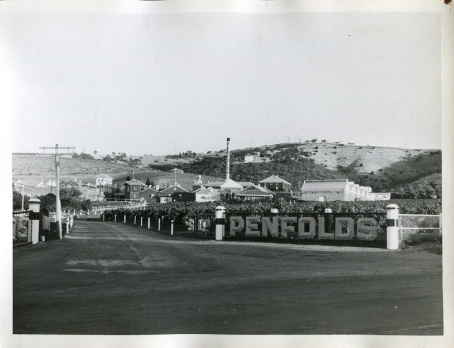 Penfolds