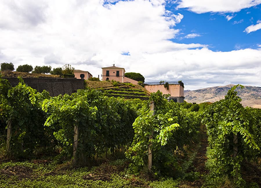 Sicily