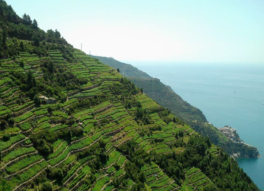 Liguria