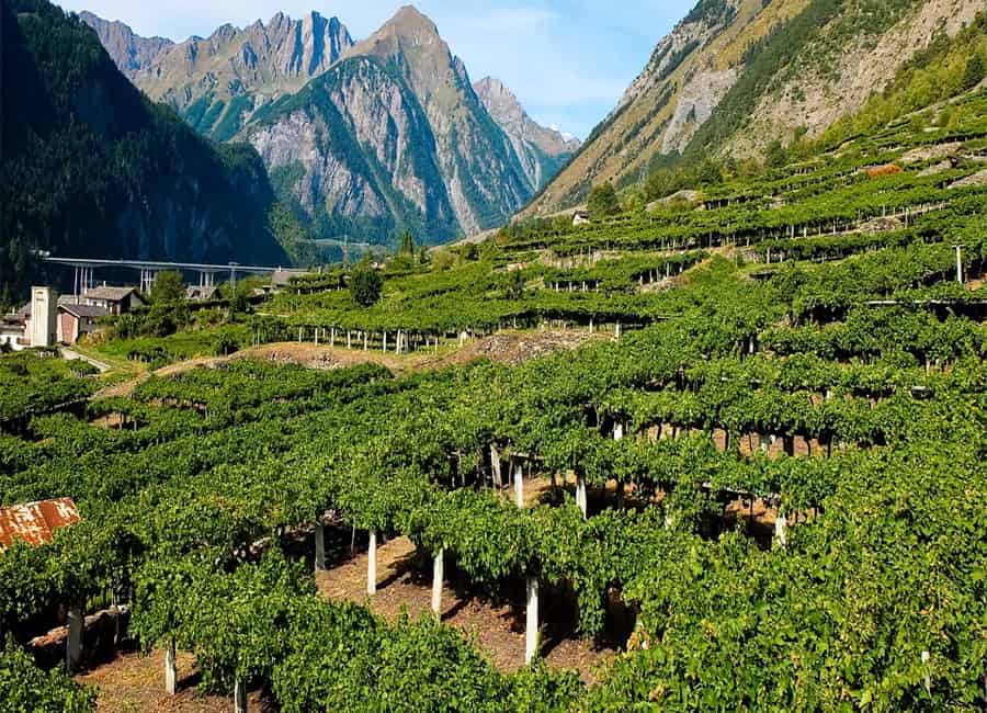Aosta Valley