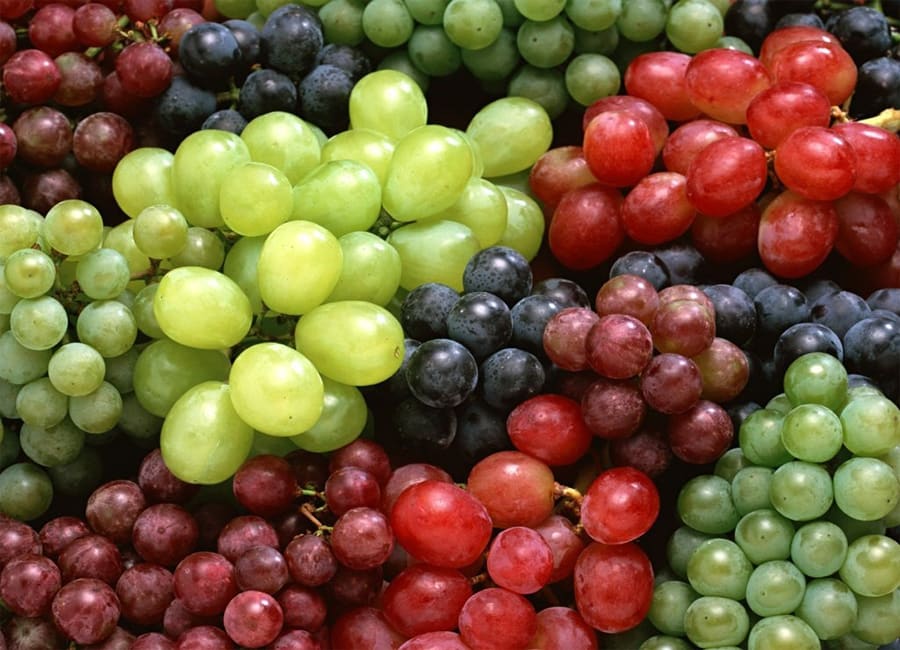 Italian Grape Varieties