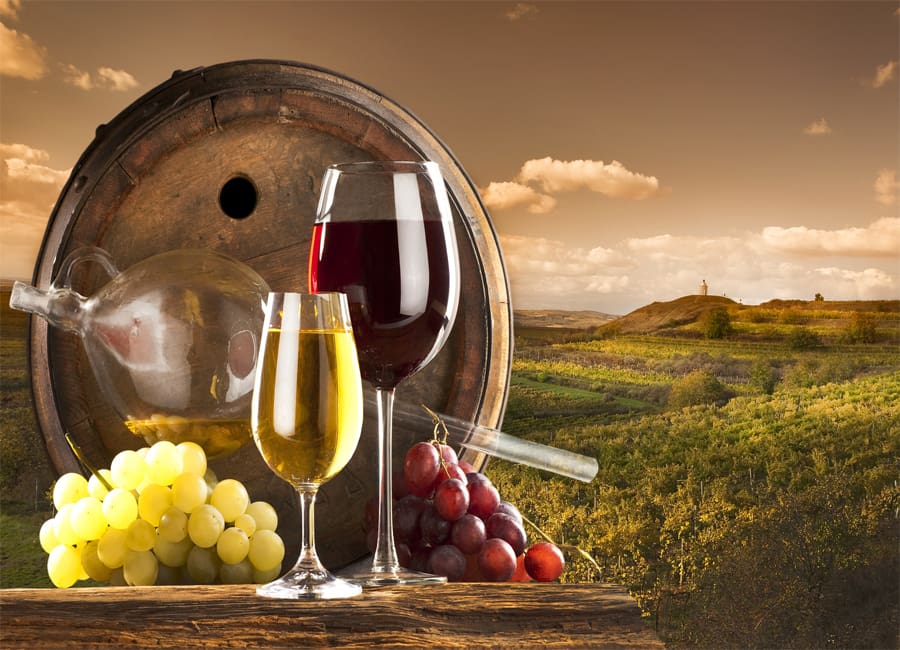 A Rich Winemaking History