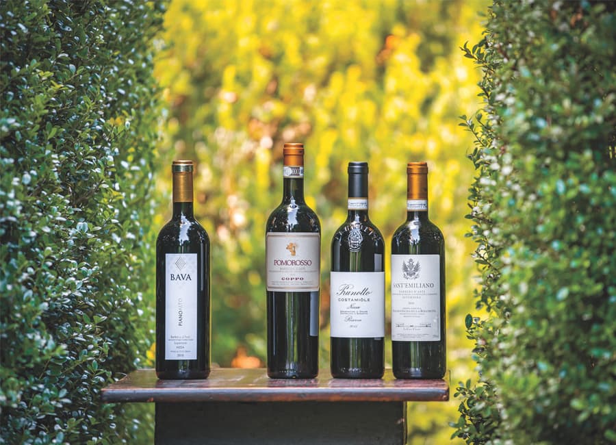 Barbera Wines