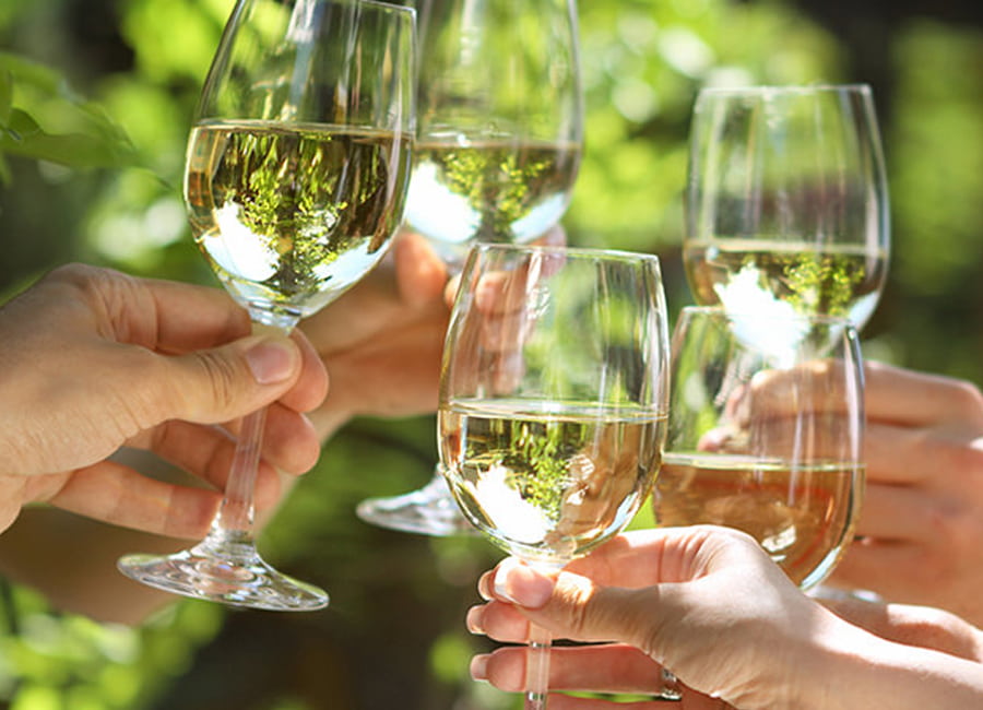 Sauvignon Blanc