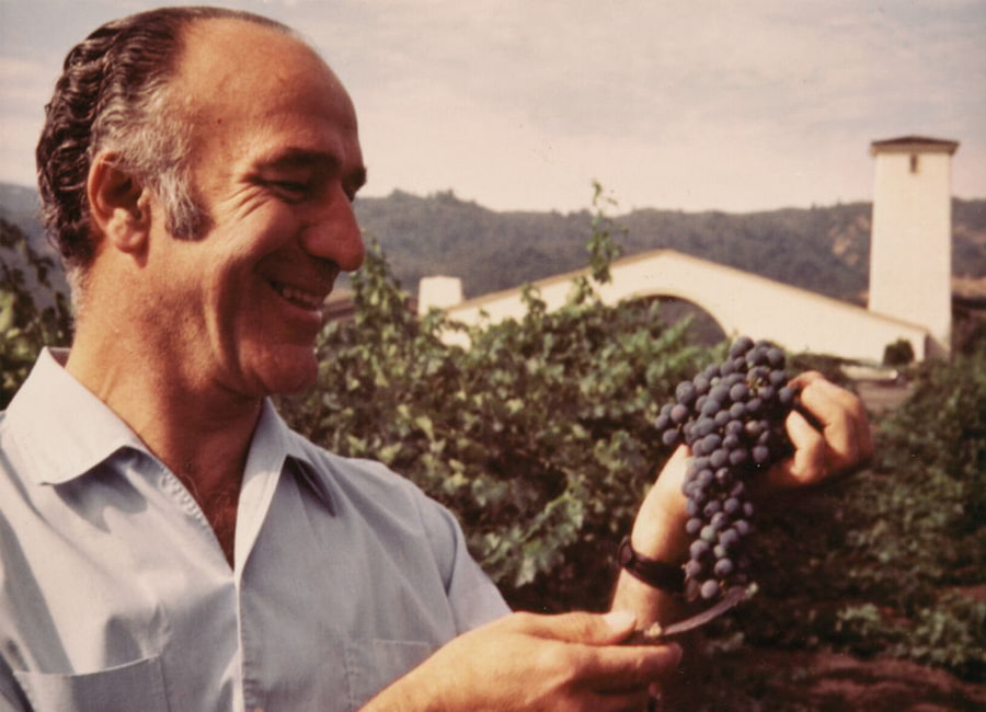 Robert Mandavi