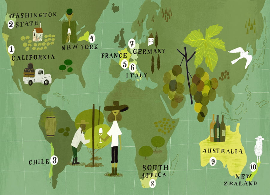 Most popular Sauvignon Blanc regions