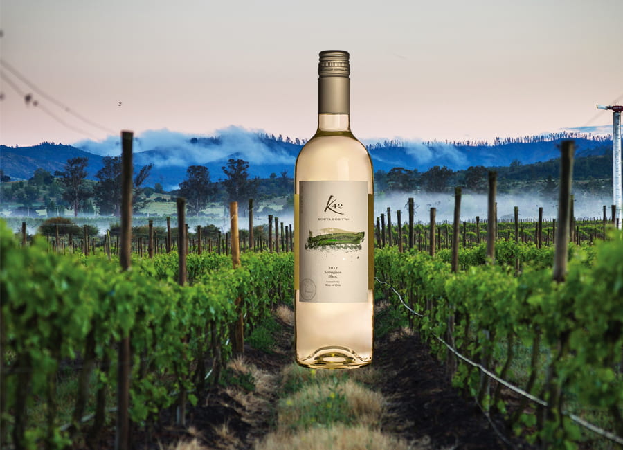 Chilean Sauvignon Blanc