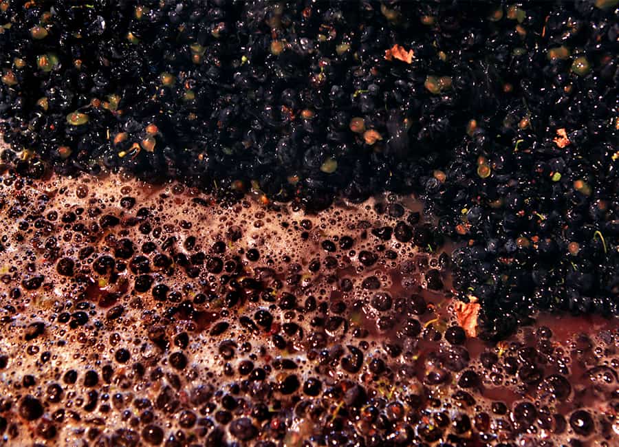 Maceration