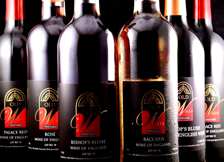 Blush Wines