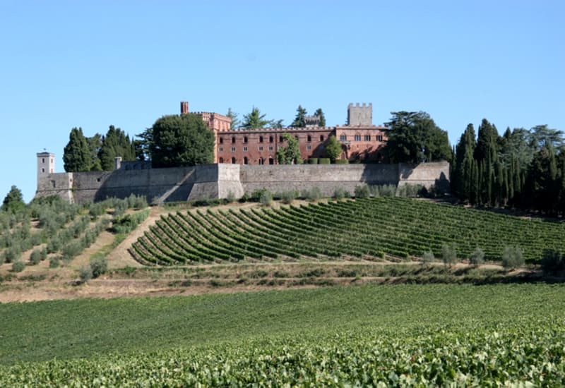Oldest Winery in Bordeaux