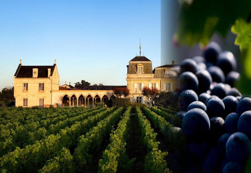 Château Haut Brion Terroir and Grapes