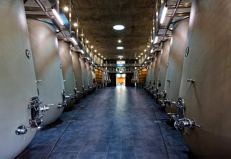 winemaking in château haut brion