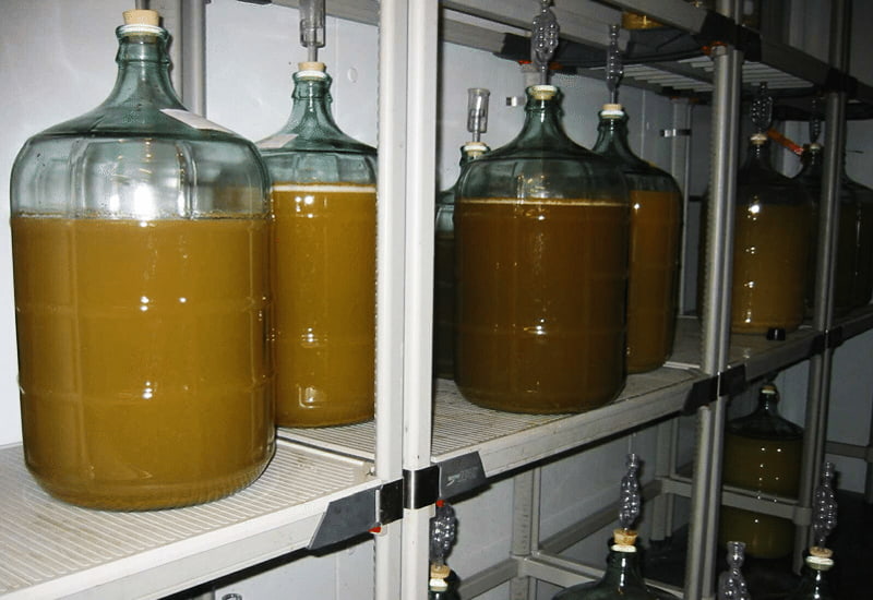Riesling Fermentation
