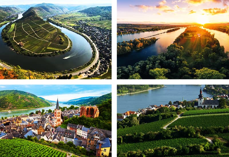 Riesling Germany