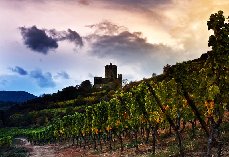 Riesling France
