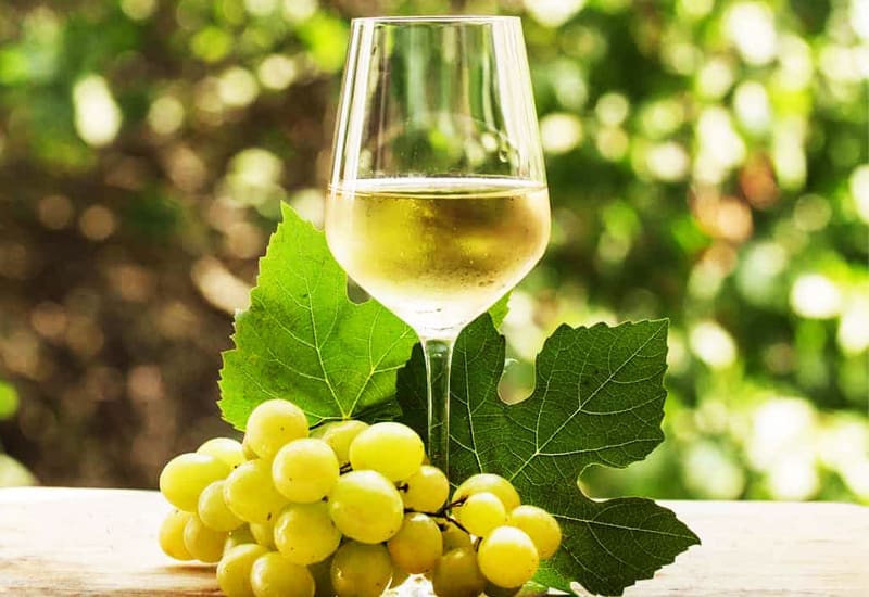 Intro to Riesling