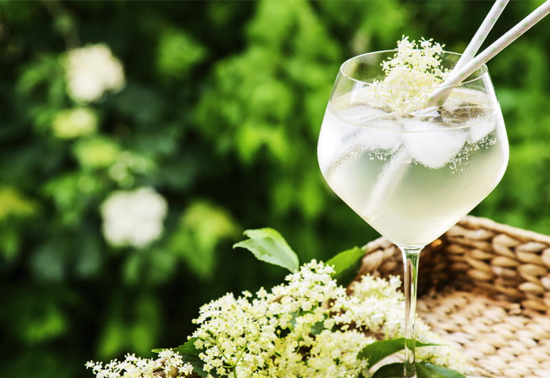 Elderflower Cocktail