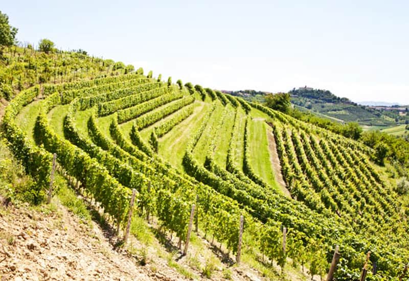 Chianti Rufina