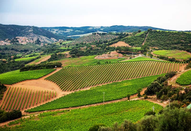 Chianti Colli Aretini