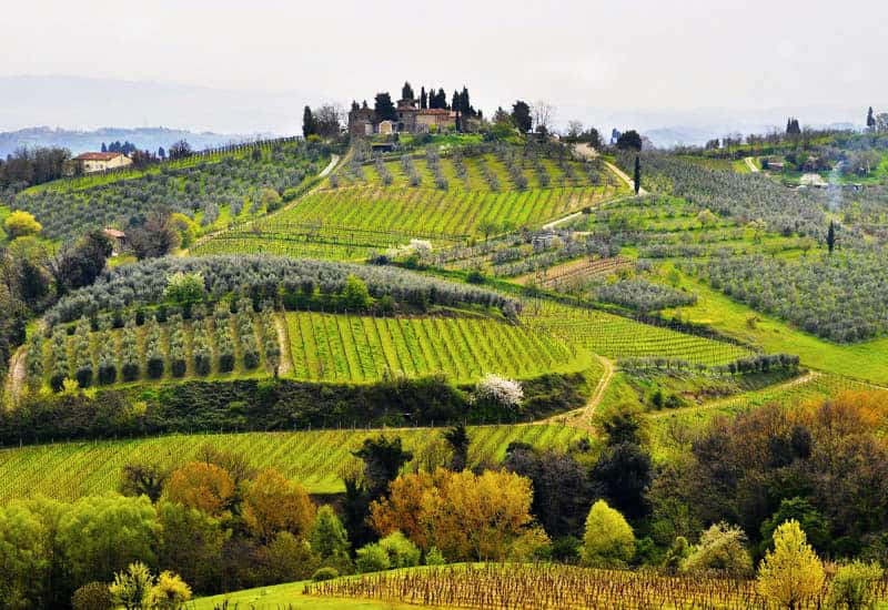 Chianti Colli Senesi