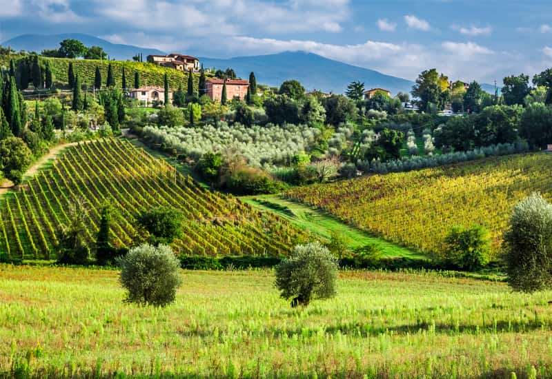 Chianti Colline Pisane
