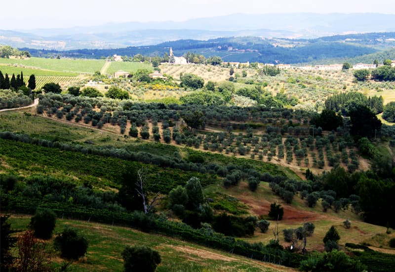 Chianti Barberino
