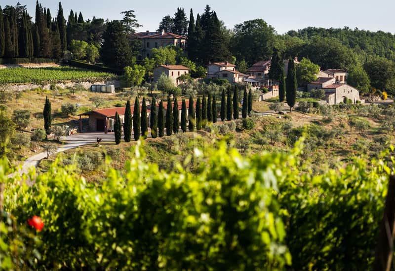 Castellina in Chianti