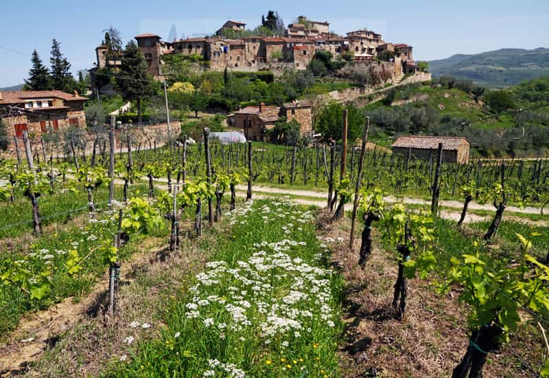 Chianti Greve