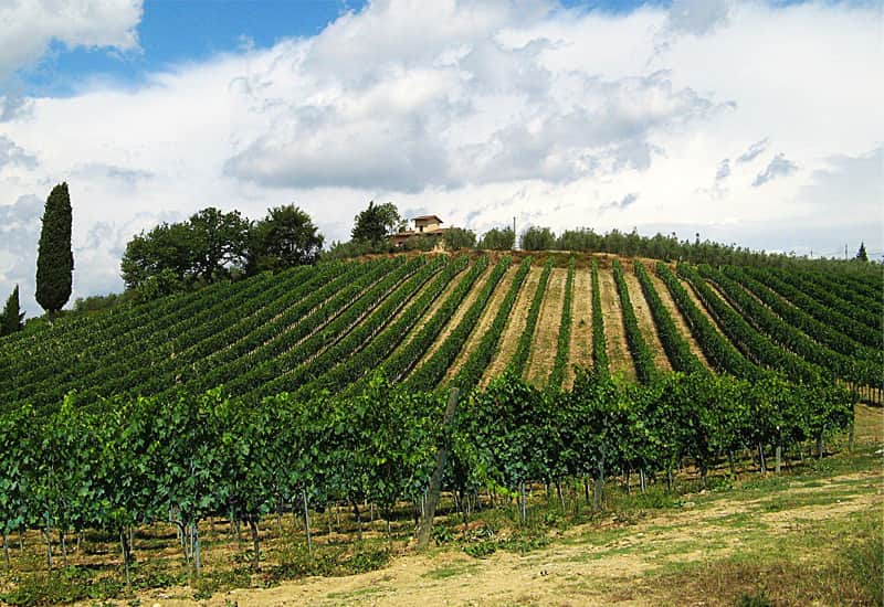 Chianti Poggibonsi