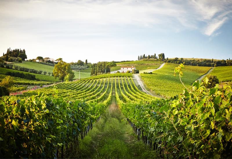Chianti San Casciano Val di Pesa