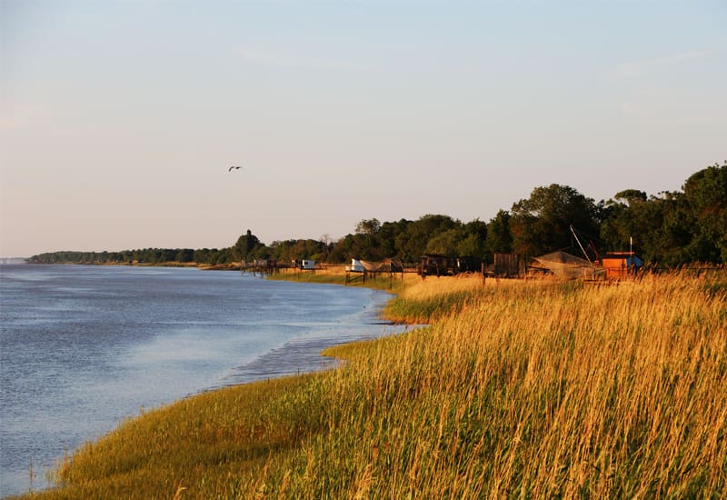 Pomerol Gironde River