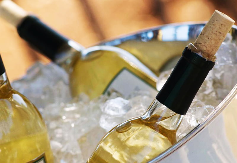 Pinot Blanc Temperature