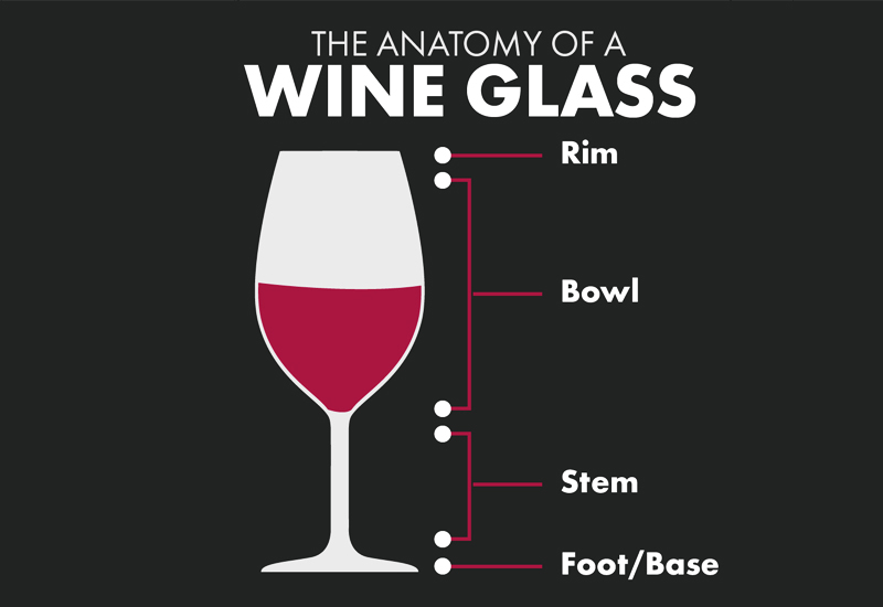 Anatomy of Champagne Glasses