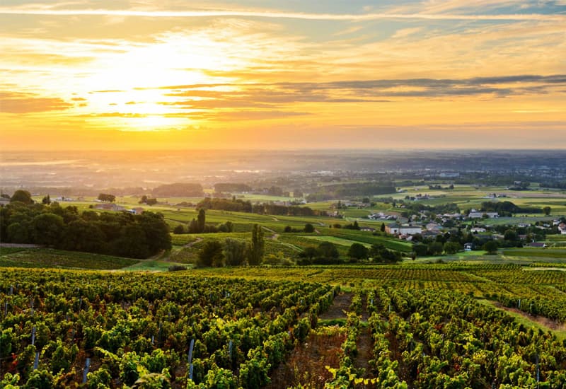 Beaujolais