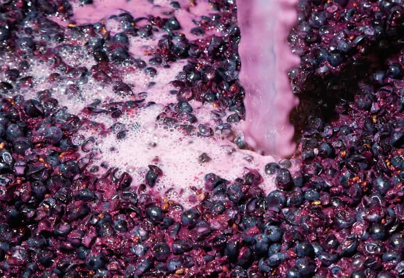 Semi Carbonic Maceration
