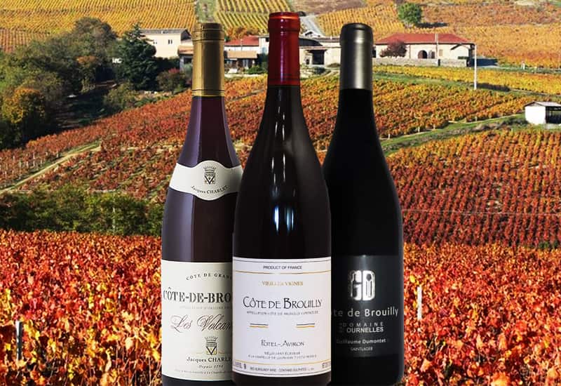 Côte de Brouilly