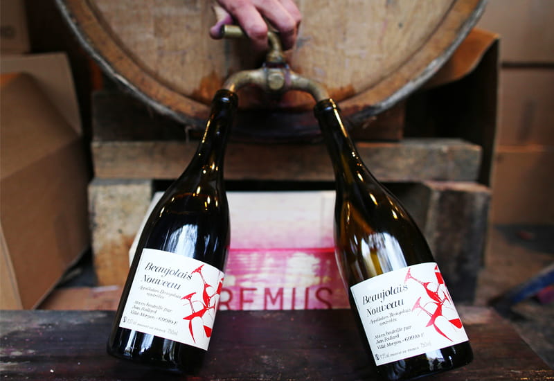 2020 Domaine Jean Foillard Beaujolais Nouveau