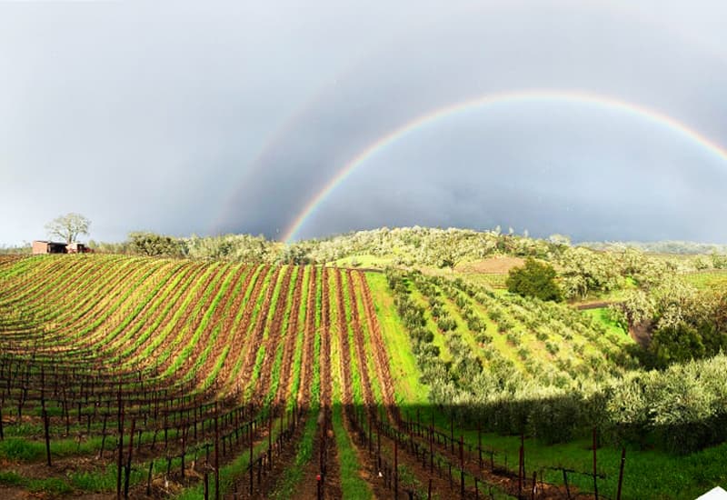 Dry Creek Valley of Sonoma County