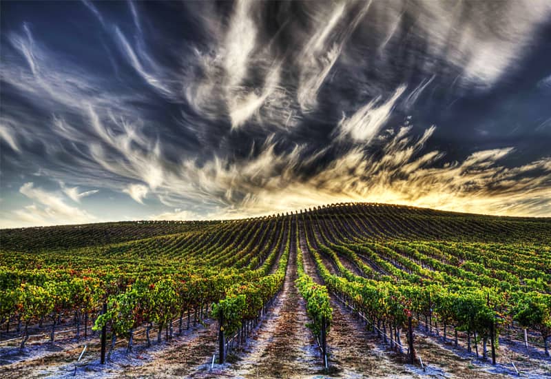 Napa Valley