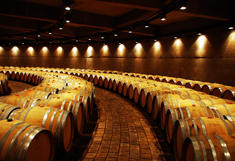 Viticulture and Winemaking