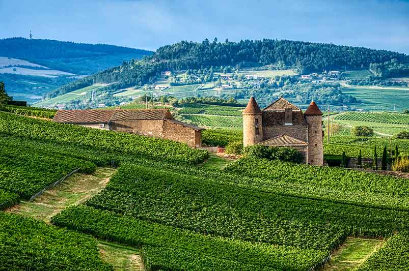 A Slice of Burgundian History For Your Collection